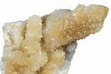 Sparkling Cactus Quartz Crystal Cluster - South Africa #303472-1